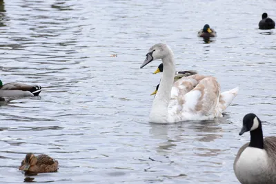 DSC_0517 (Large).JPG